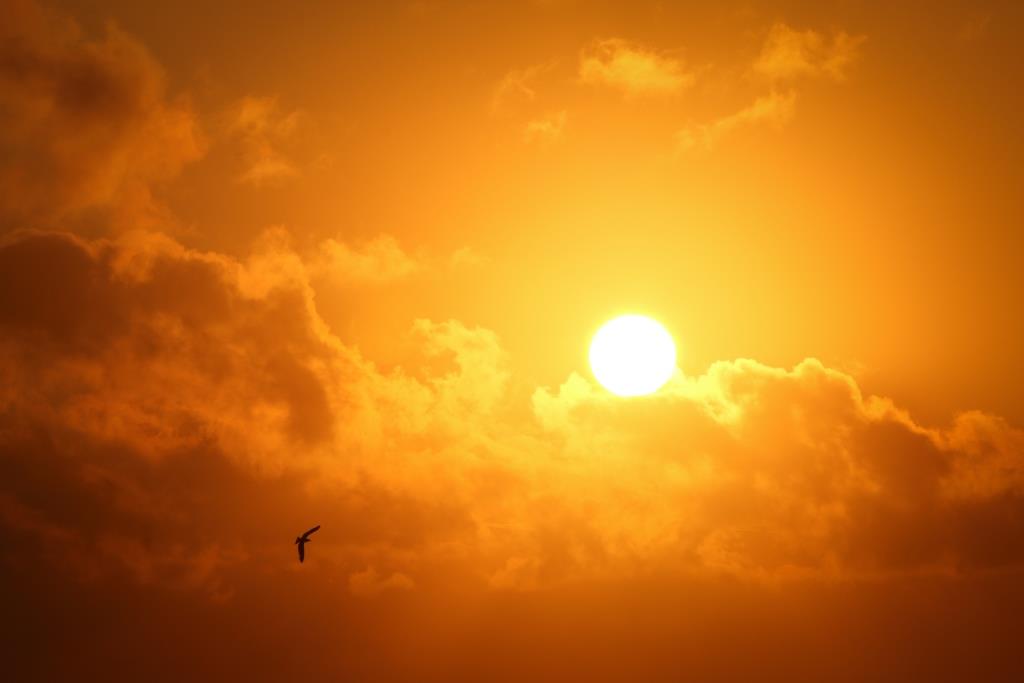 thermische energie